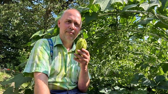 Eine grüne Frucht mit Stacheln.