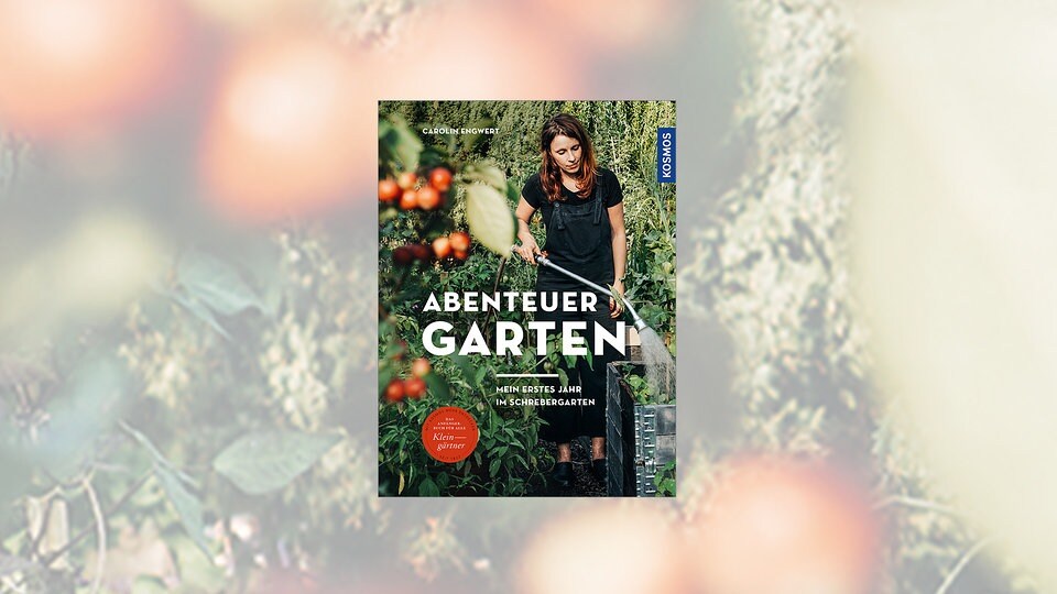 Buch Des Monats Mai Abenteuer Garten Von Carolin Engwert Mdr De