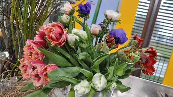 verschiedene Tulpen stehen in einer eckigen Vase