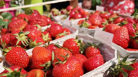 Erdbeeren in Schalen  