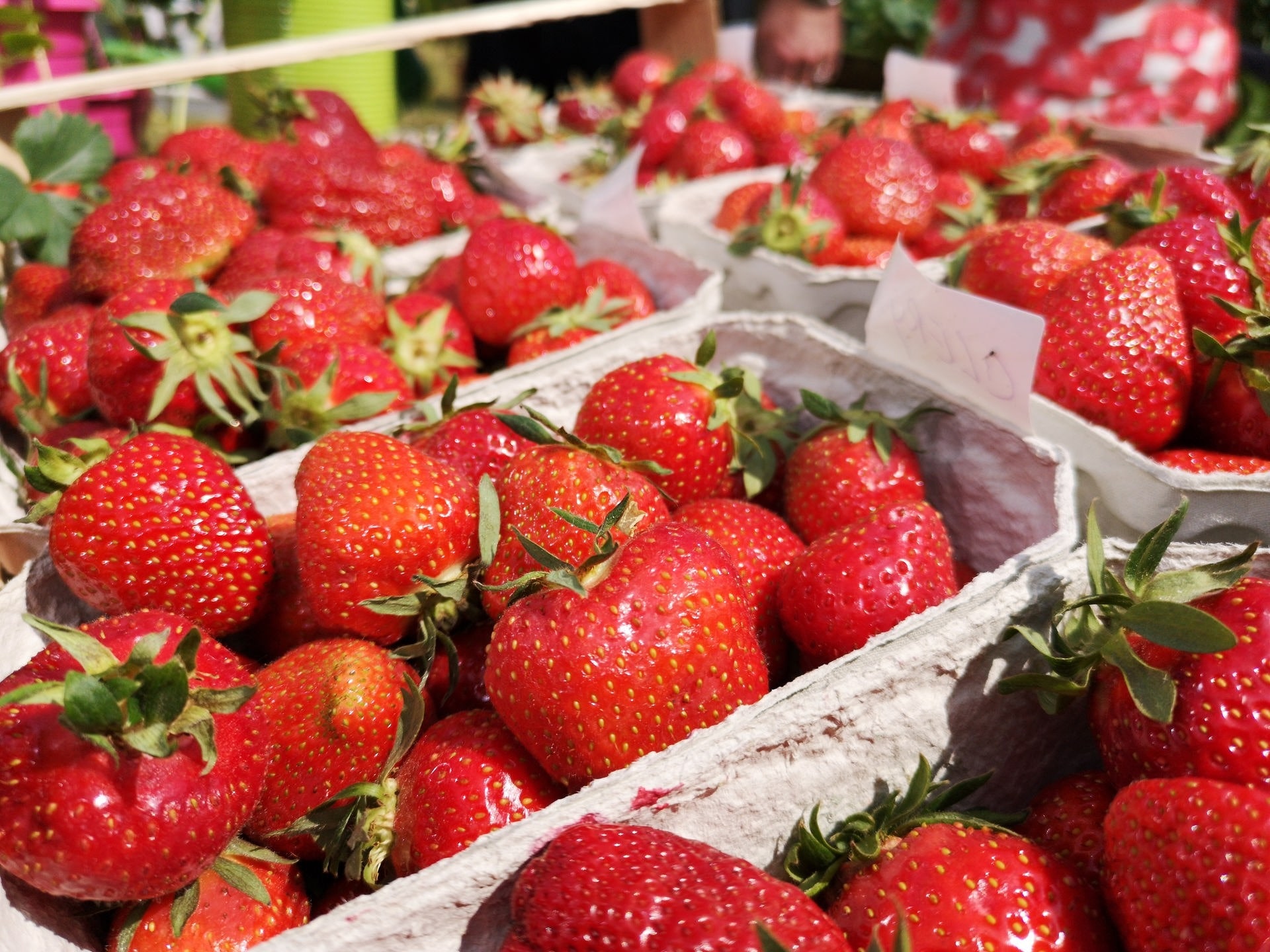 Erdbeeren Empfehlenswerte Sorten MDR.DE