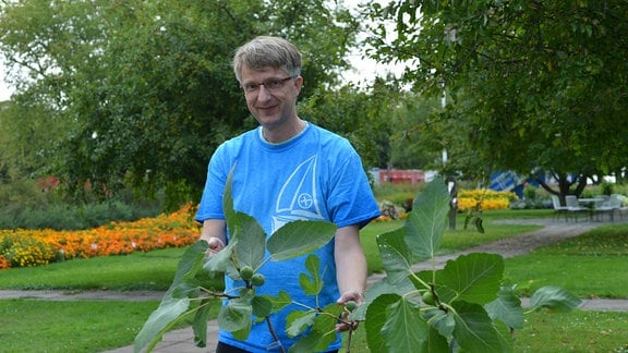 Der Experte Dirk Henke steht lächelnd hinter einem kleinen Feigenbaum und präsentiert diesen. 