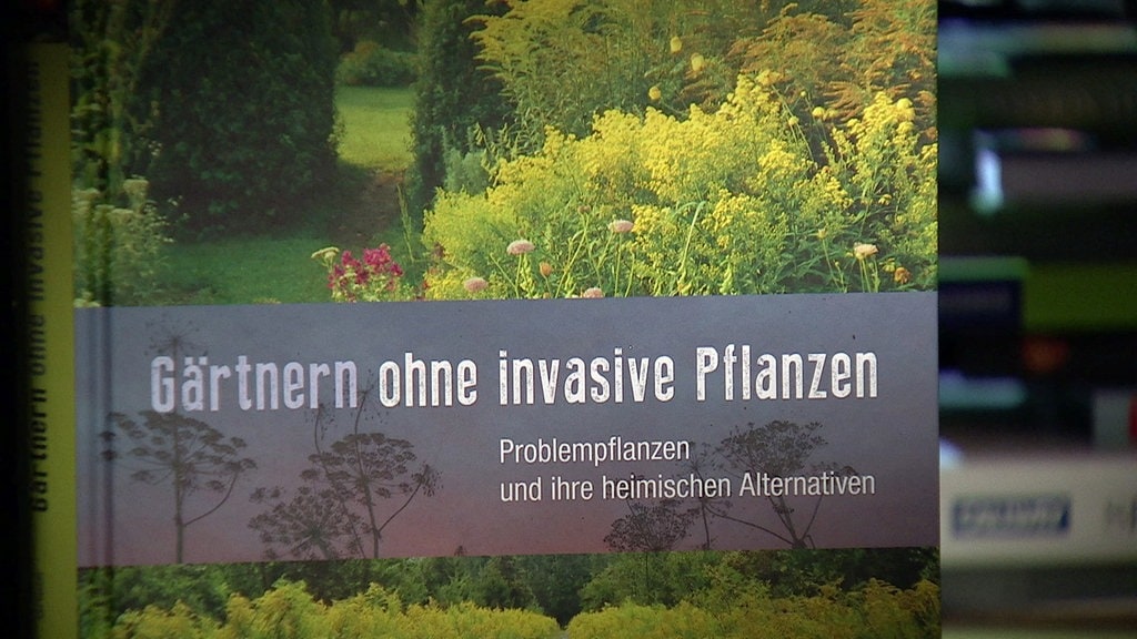 Buchtipp Des Monats Heimische Pflanzen Statt Invasiver Arten Mdr De