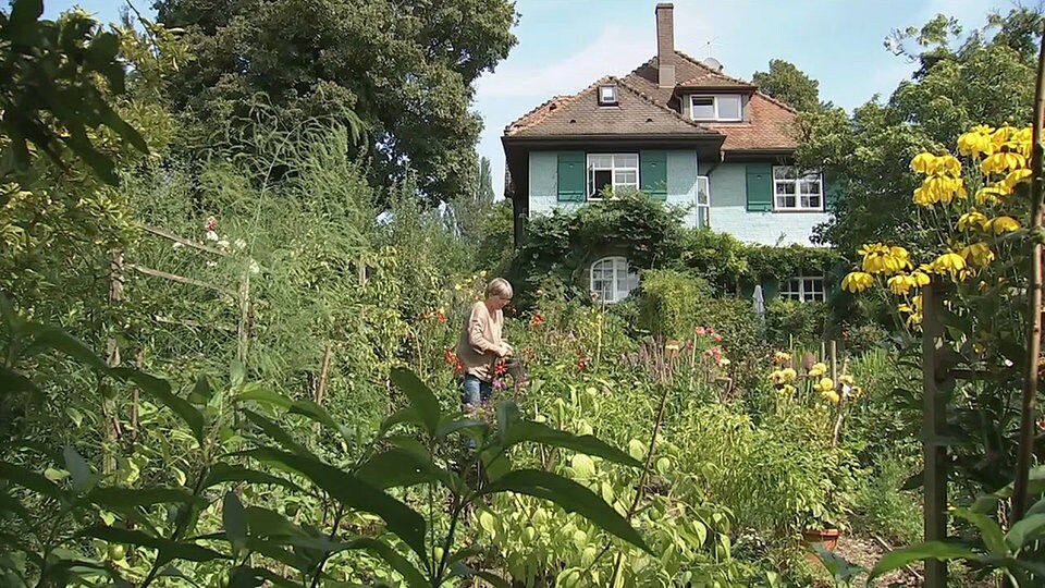 Der HermannHesseGarten am Bodensee MDR.DE