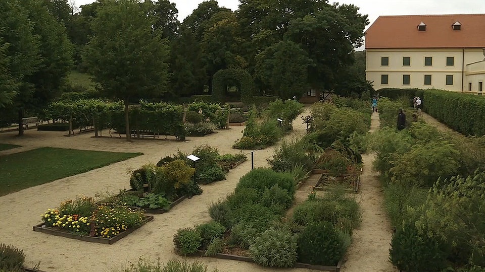 Der Botanische Garten Valtice Ein Traumgarten voller Kräuter MDR.DE