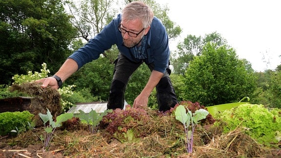 Jörg Heiß verteilt getrocknetes Gras auf einem Gemüsebeet.