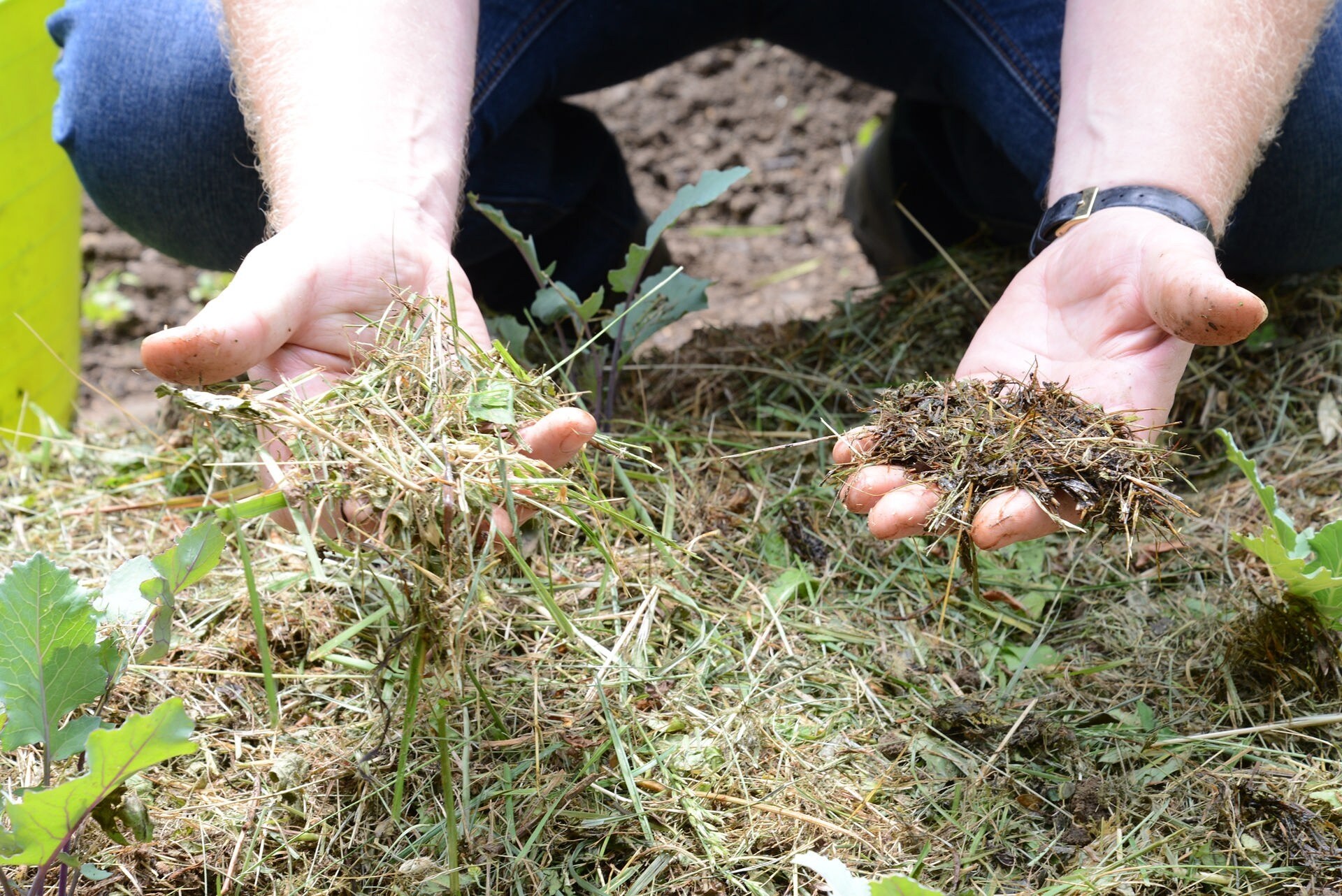 Mulchen mit Gras und Stroh MDR.DE