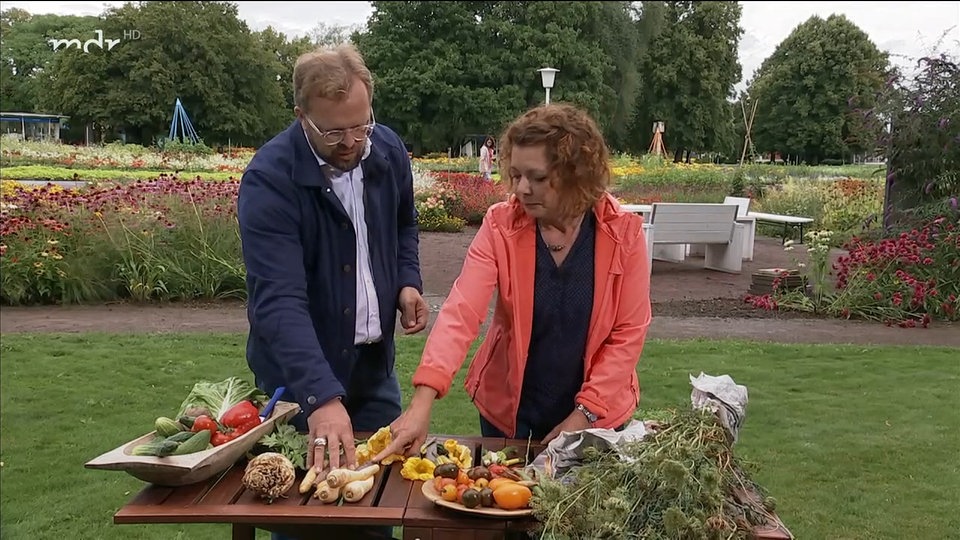 Eigenes Saatgut gewinnen | MDR.DE