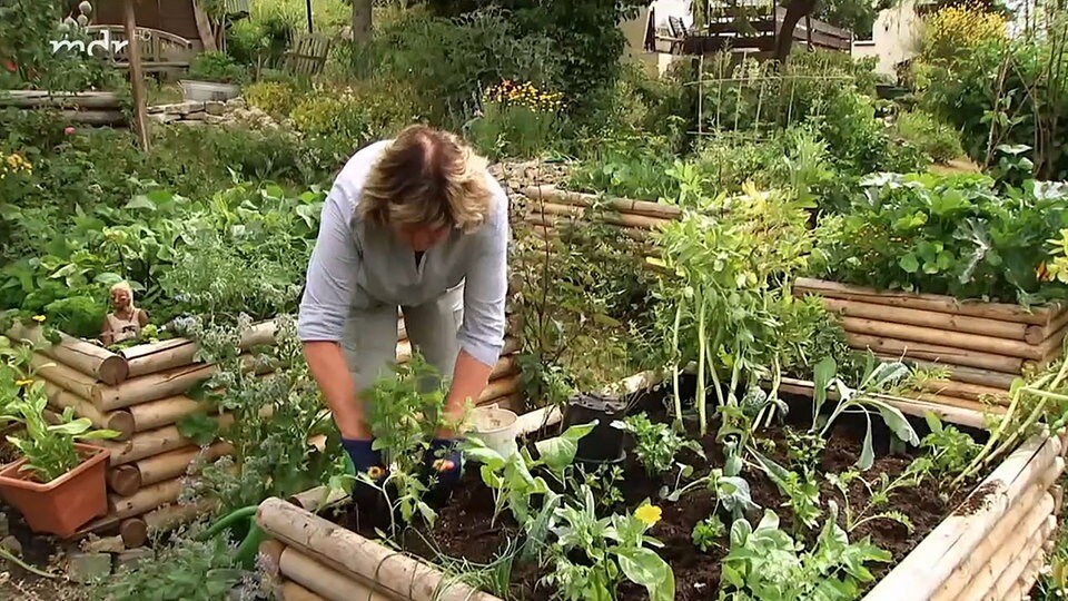 39+ Carolas Garten Mdr, Jede kreatur, jede pflanze verdient