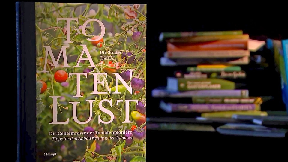 Buchtipp "Tomatenlust Die Geheimnisse der Tomatenpioniere" MDR.DE