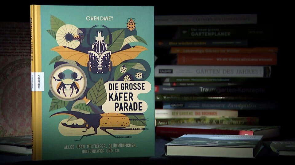Buchtipp "Die große Käferparade" von Owen Davey MDR.DE