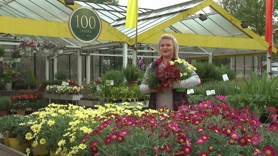 Mdr Garten Heute Mediathek Garten Ideen