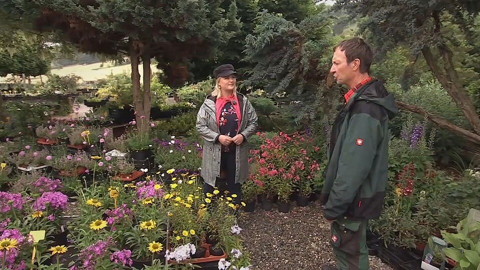 Kräuter aus der Gärtnerei für besondere Aromen in der Küche MDR.DE