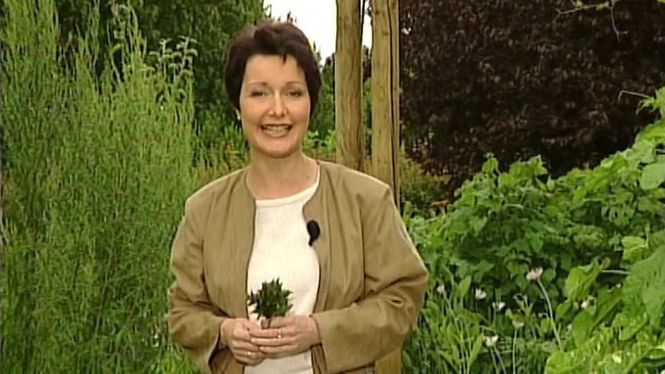 Rückblick 20 Jahre MDR Garten so war es MDR.DE