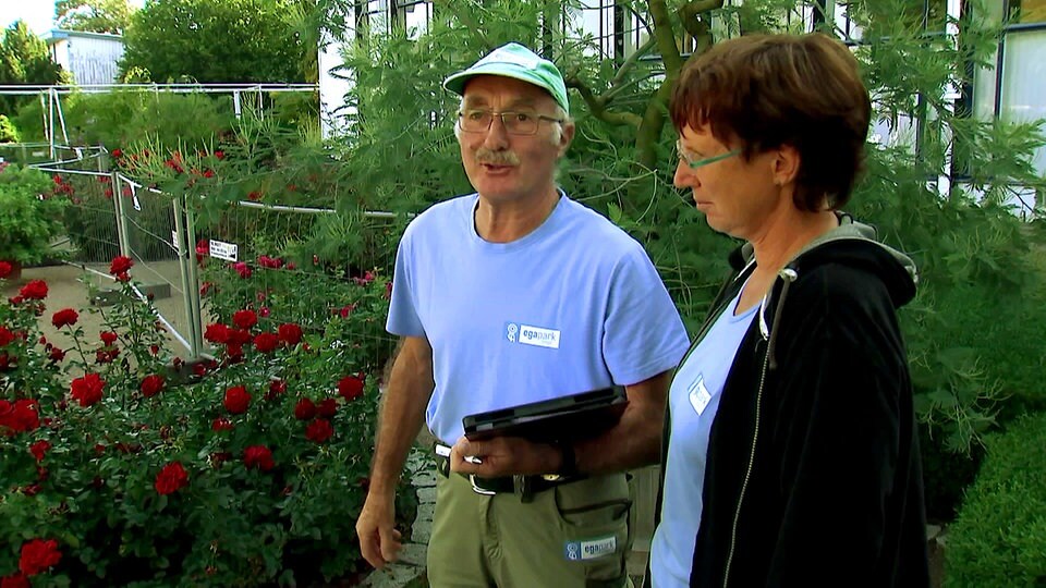 Gartenmeister So funktioniert ein Wettbewerb mit Kübelpflanzen MDR.DE