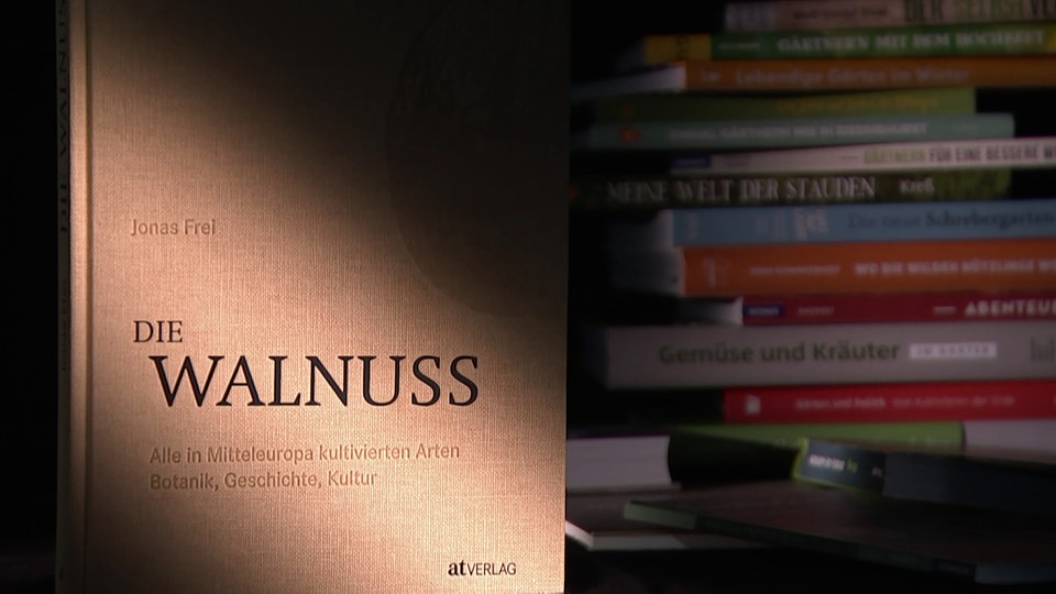 „Die Walnuss“ von Jonas Frei MDR.DE