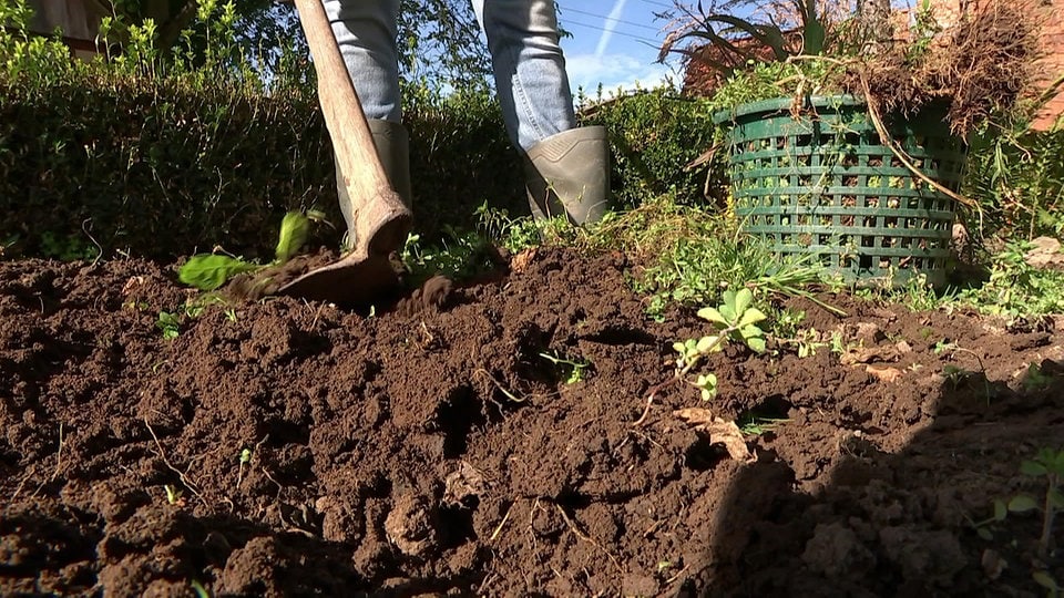 Gartenboden verbessern Gemüsebeete mulchen, düngen und abdecken MDR.DE