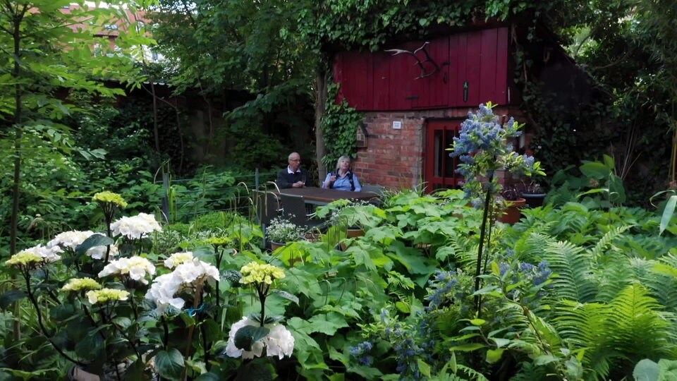 Traumgarten Kleiner schattiger Hinterhofgarten MDR.DE