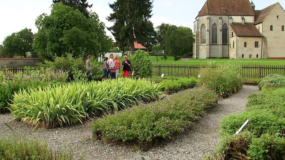 Klostergarten und Gemüseanbau Die Insel Reichenau MDR.DE