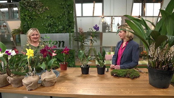 Diana Fritzsche-Grimmig mit Orchideen-Expertin Marei Karge-Liphard betrachten verschiedene Orchideen.  