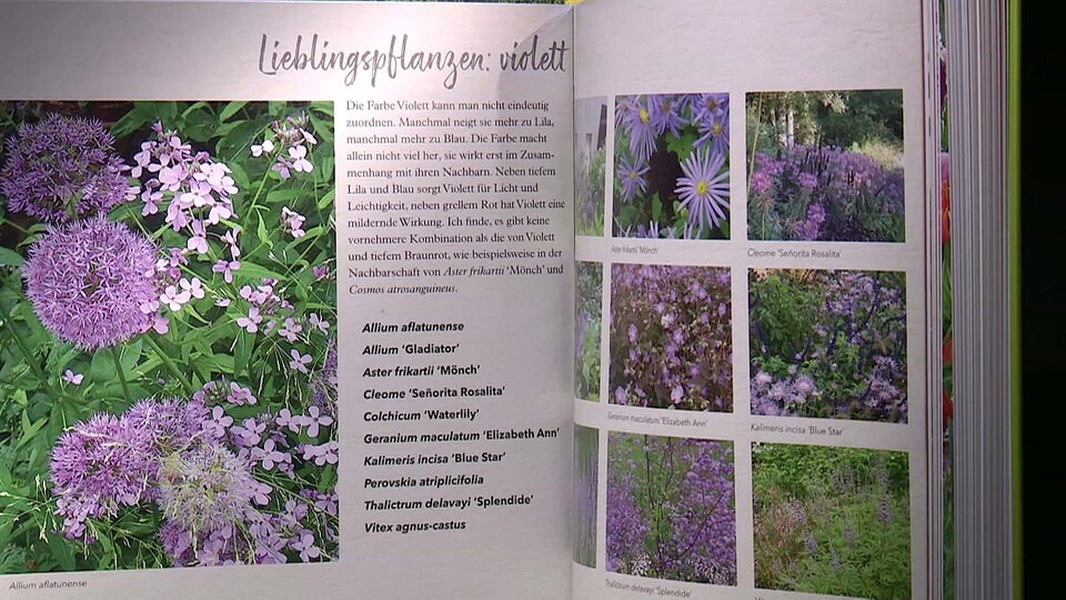 "Ein Jahr in meinem Garten" von Jacqueline van der Kloet MDR.DE
