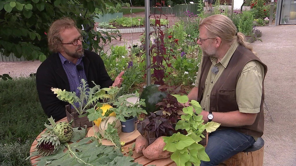 50+ schön Vorrat Mdr Garten De Mdr Garten Mdr De Wie