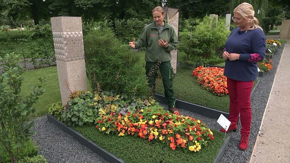Grabbepflanzung Ideen von der Bundesgartenschau MDR.DE