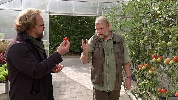 Martin Krumbein vom Lehr- und Versuchszentrum Gartenbau und Jens Haentzschel im Gespräch