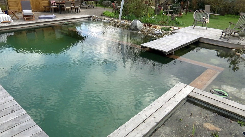 Schwimmteich ein Gewinn für jeden Garten MDR.DE