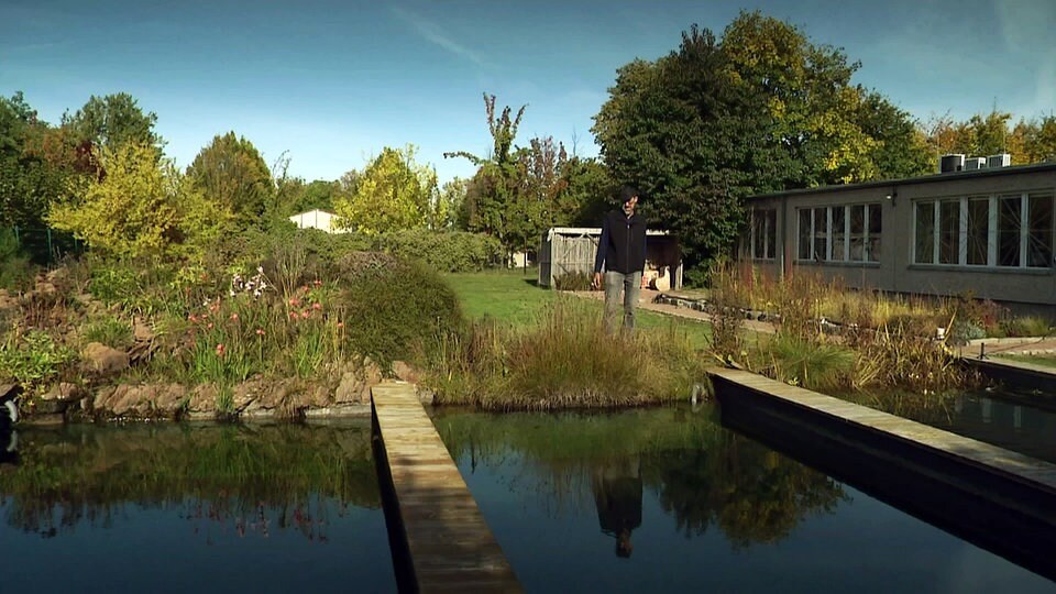Schwimmteich MDR.DE