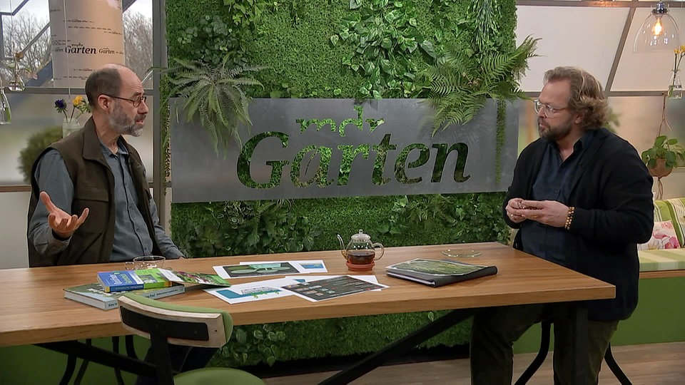 Einen Schwimmteich anlegen MDR.DE