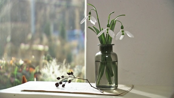 Schneeglöckchen in einer Vase
