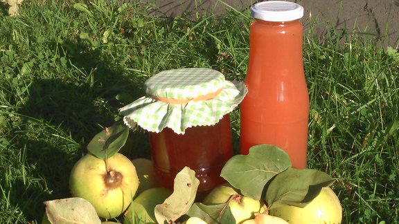 Auf einer Wiese liegen ganze und halbierte Quittenfrüchte. Außerdem steht eine Glasflasche mit Saft und ein Marmeladenglas mit Marmelade auf dem grünen Rasen.