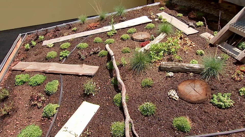 Traumgarten Naturnahe Gestaltung mit bepflanztem Carport MDR.DE