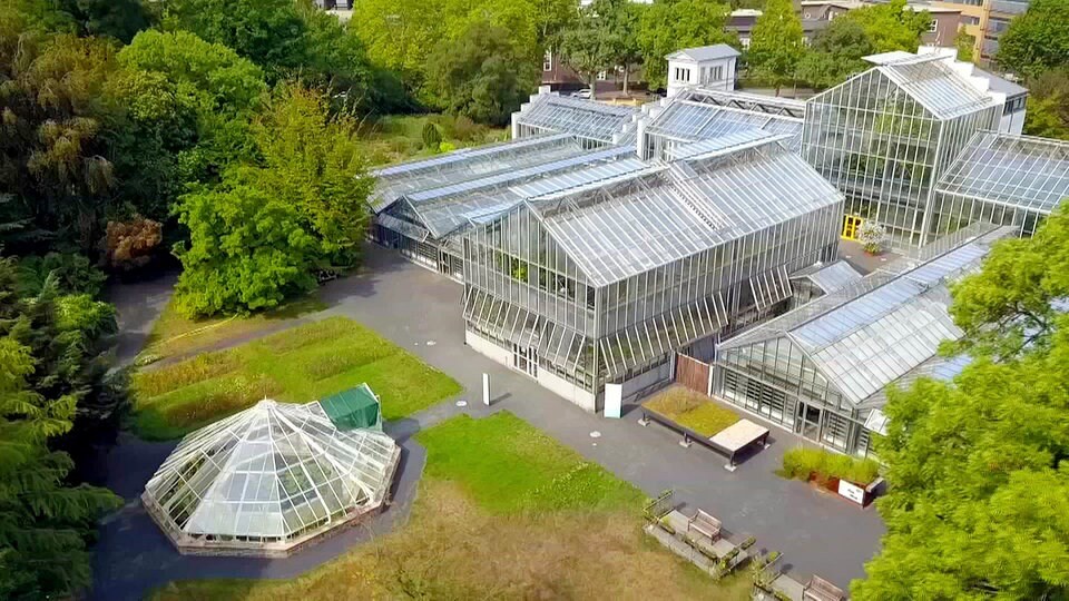 Botanischer Garten Leipzig Ort mit Geschichte MDR.DE