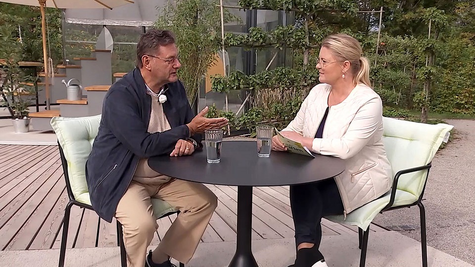 MDR Garten Rechtsfragen Hecken, Ausläufer, Grenzabstände MDR.DE