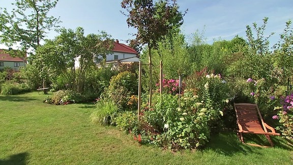 Eine Gartenhecke