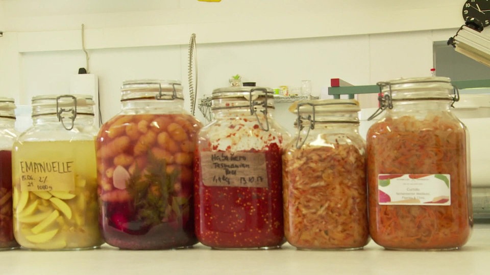 Fermentieren Sie wird Gemüse schonend haltbar gemacht MDR.DE