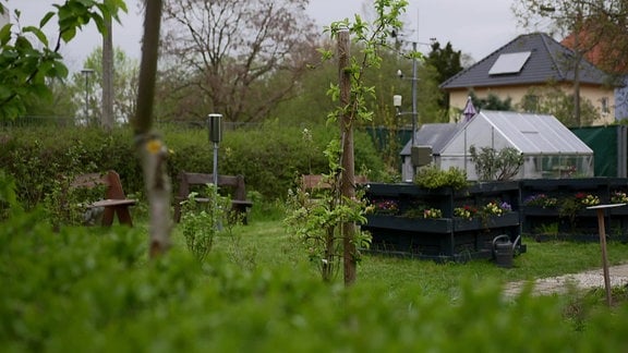 Ein Garten mit Gewächshaus
