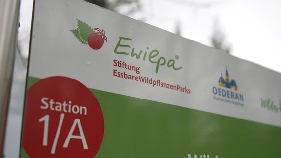 Hinweisschild Wildpflanzenpark Ewilpa