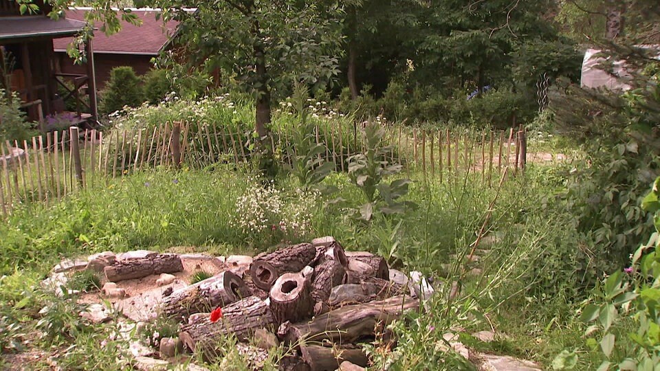 Sehenswerter Naturgarten im Erzgebirge MDR.DE