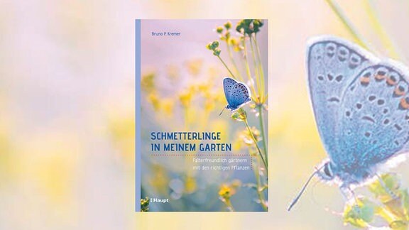 Cover: Schmetterlinge in meinem Garten