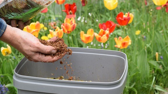 Eine Hand verteilt eine braune, krümelige Masse, das sogenannte Bokashi-Ferment, über einem grauen Bokashi-Komposteimer
