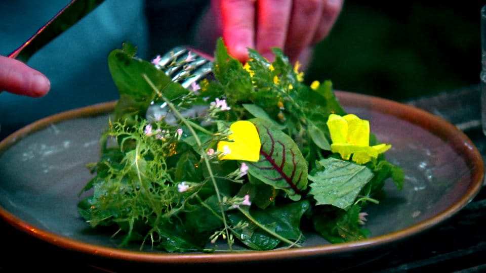 Café Botanico Restaurant mit PermakulturGarten in Berlin MDR.DE