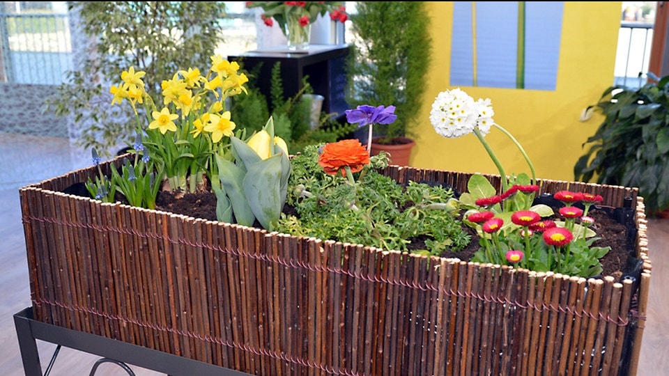 Tipps für Hochbeete auf Balkon und Terrasse MDR.DE
