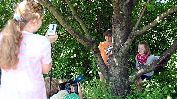 Ein Mädchen und eine junge Frau fotografieren beziehungsweise filmen zwei Mädchen, die an einem Kirschbaum lehnen