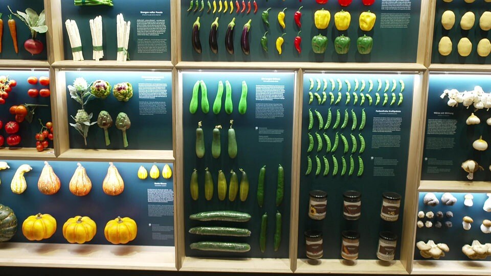 Pflanzenwissen vermitteln Das Deutsche Gartenbaumuseum in Erfurt MDR.DE