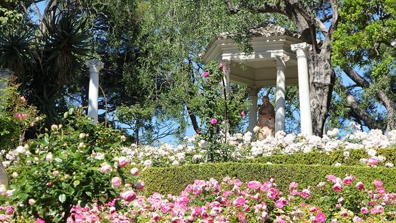 Rosengarten im Park Ephrussi de Rothschild bei Nizza in Südfrankreich.