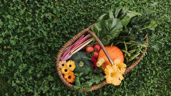 Ein Korb mit Zucchini, Kürbis, Tomaten, Chili, Stangenbohnen, Mangold, Sellerie, Basilikum und essbaren Blüten.