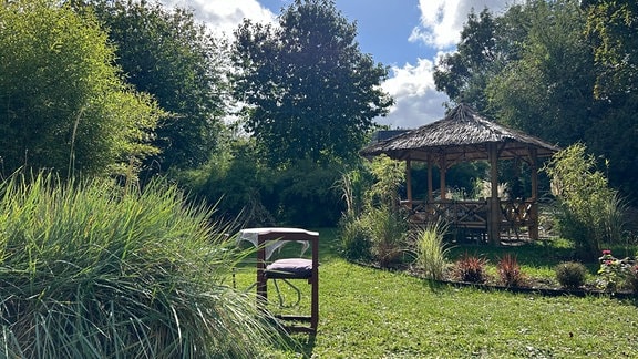 Ein Garten voller Bambus in Blankenburg (Harz).